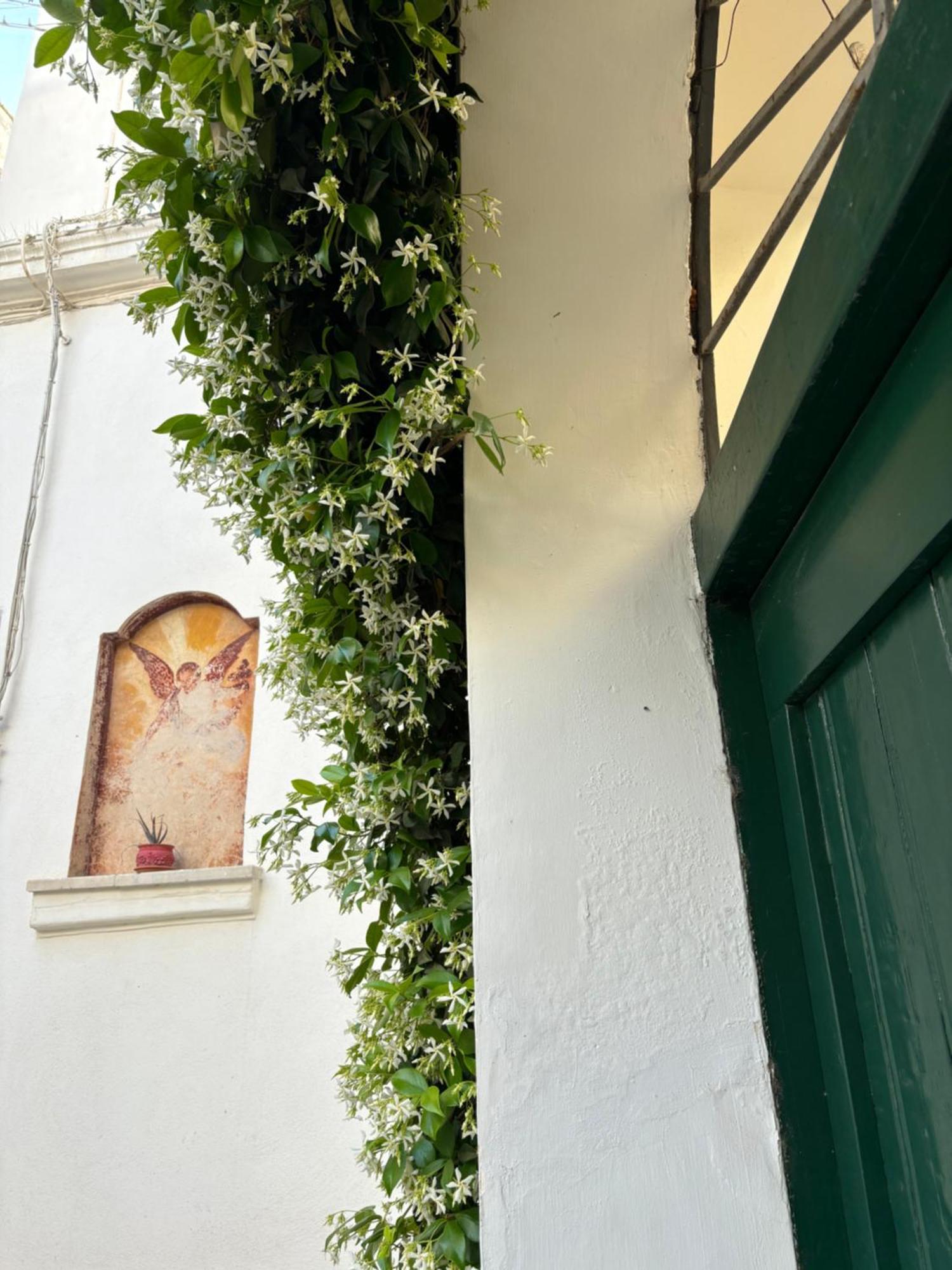 B&B Antica Dimora Dell'Angelo Нардо Экстерьер фото